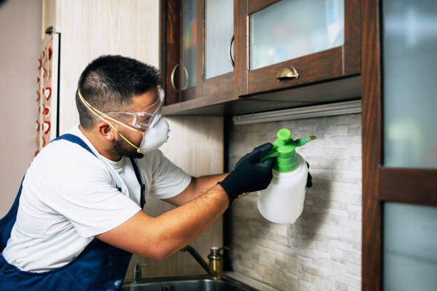Best Wasp Removal Services  in Sound Beach, NY