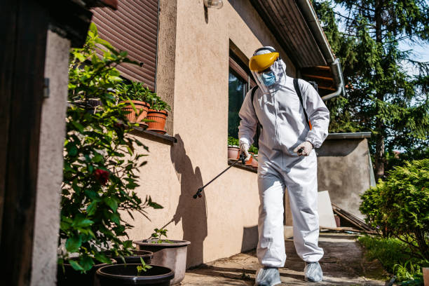 Best Pest Removal Services  in Sound Beach, NY