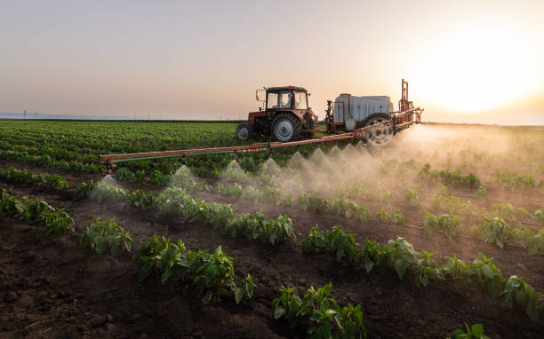 Best Pest Control Treatment  in Sound Beach, NY