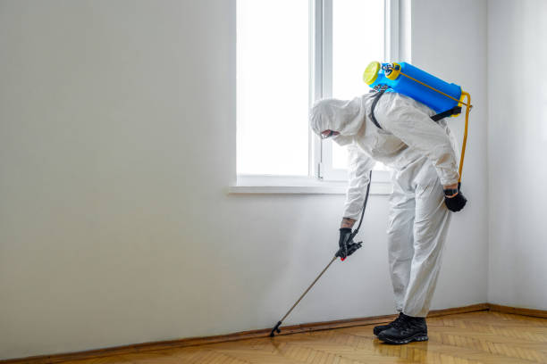 Best Mosquito Control Services  in Sound Beach, NY