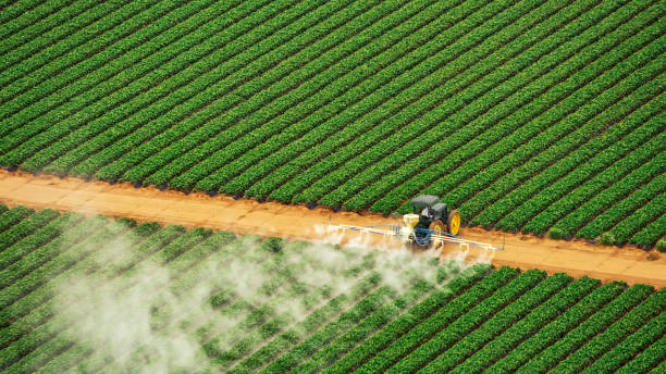 Best Commercial Pest Control Services  in Sound Beach, NY