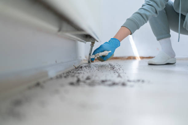 Best Pest Inspection Near Me  in Sound Beach, NY